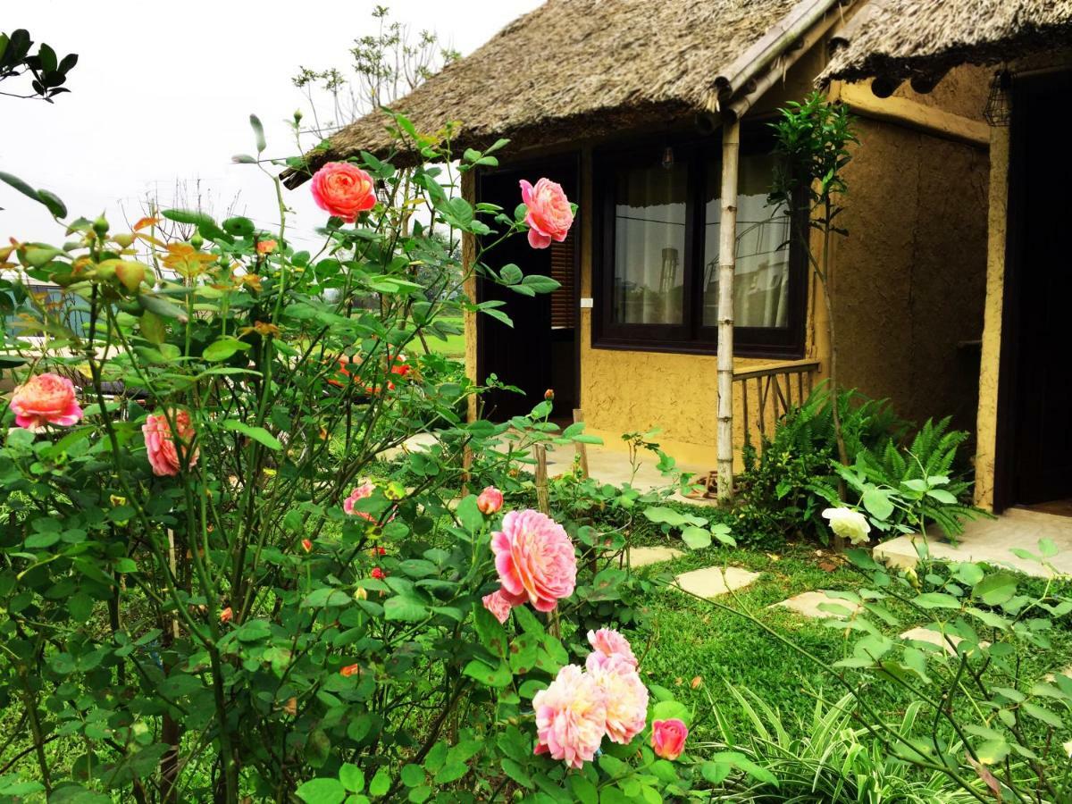 May Homestay - Tam Coc Local Village Ninh Binh Eksteriør bilde