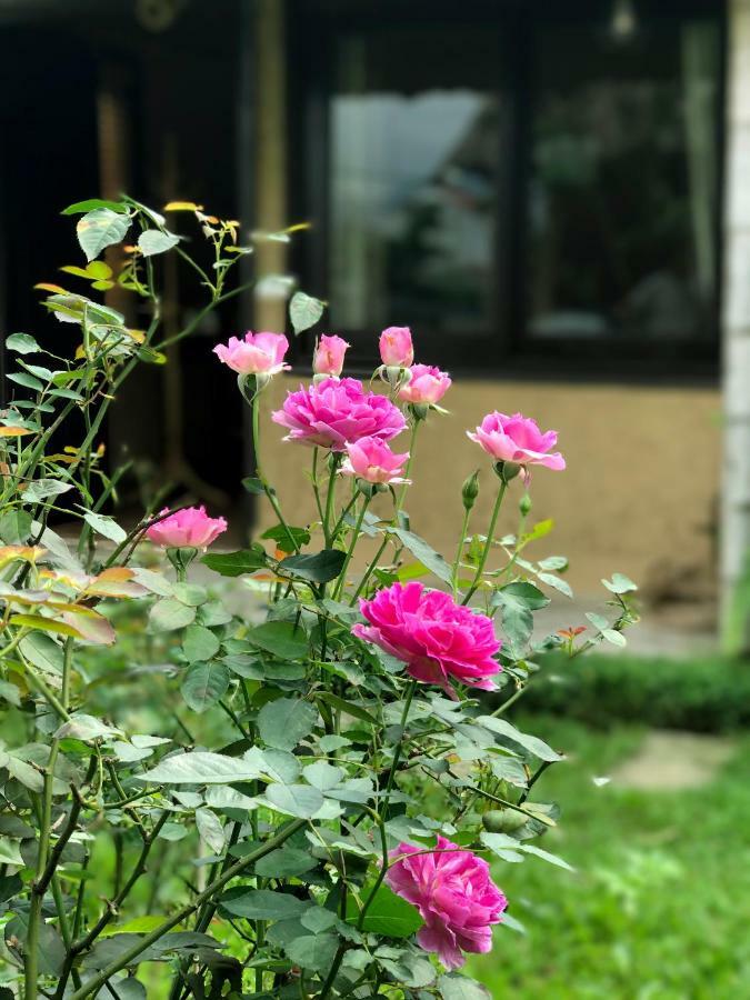 May Homestay - Tam Coc Local Village Ninh Binh Eksteriør bilde
