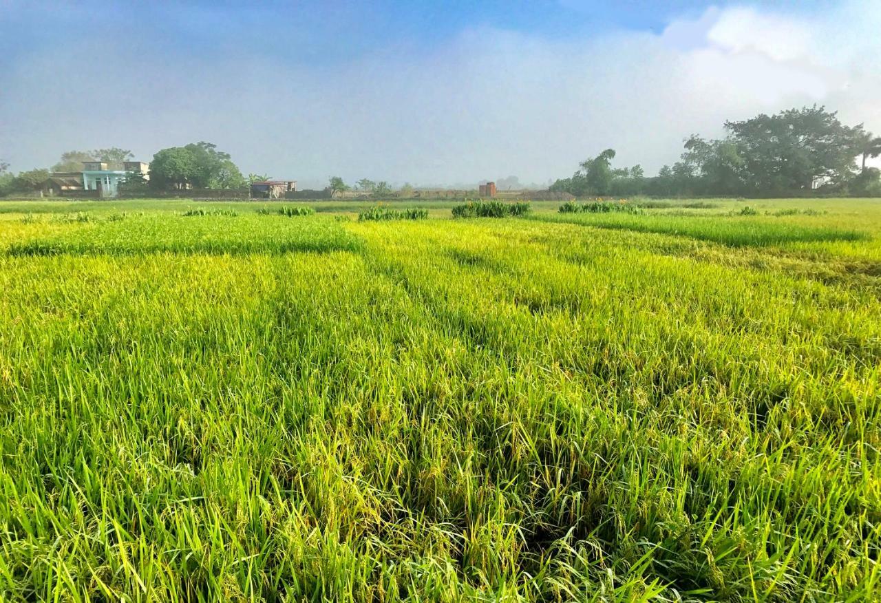 May Homestay - Tam Coc Local Village Ninh Binh Eksteriør bilde