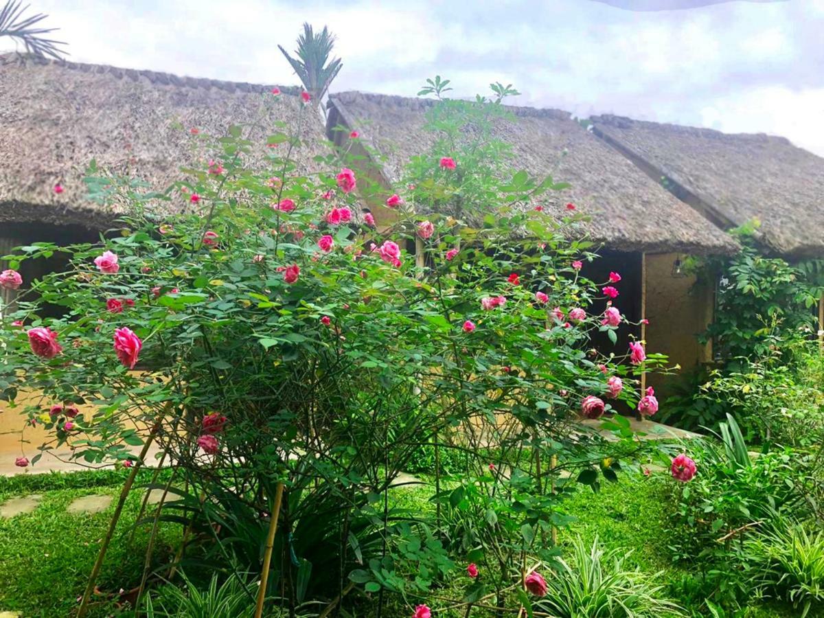 May Homestay - Tam Coc Local Village Ninh Binh Eksteriør bilde